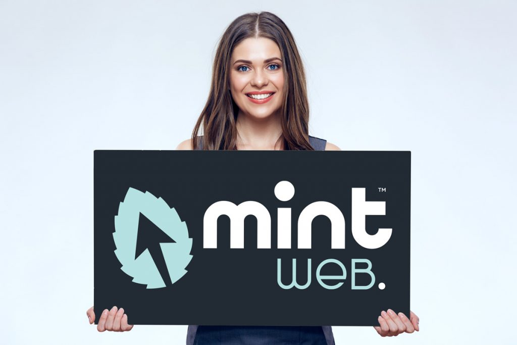 Mint Web Services